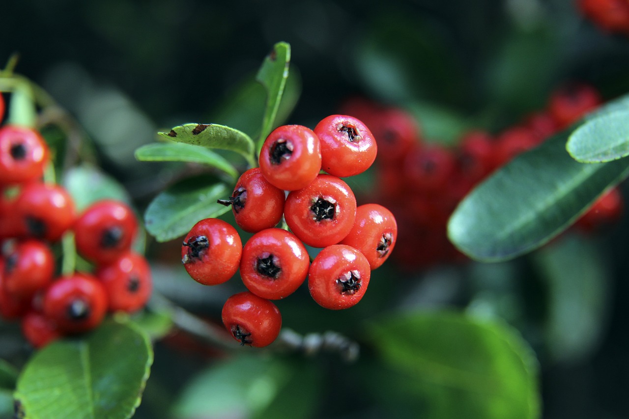 这种以数据 这种以数据