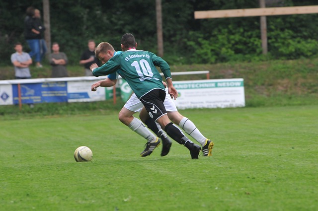 一个出色的 一个出色的