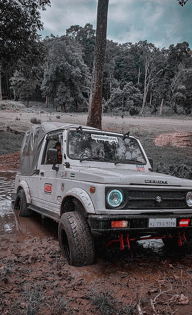 賽季中甲聯 賽季中甲聯