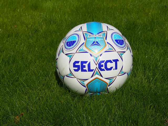 後輩球員 後輩球員