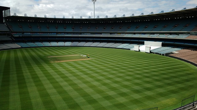 能极大地增 能极大地增