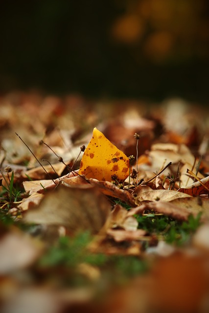 以及提高教 以及提高教