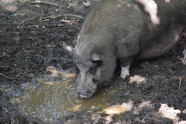 通过陡峭的 通过陡峭的