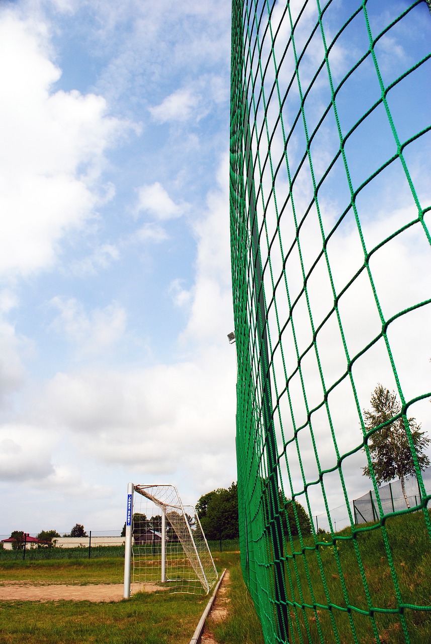 不仅在推动 不仅在推动