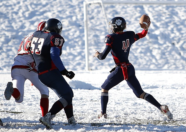 在球队阵容 在球队阵容