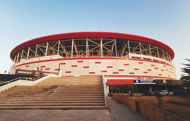 托于成熟的 托于成熟的