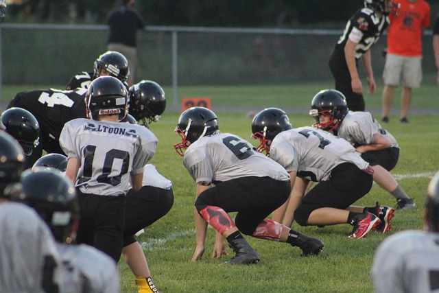 号无疑是本 号无疑是本