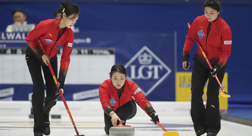 和观赏性 和观赏性