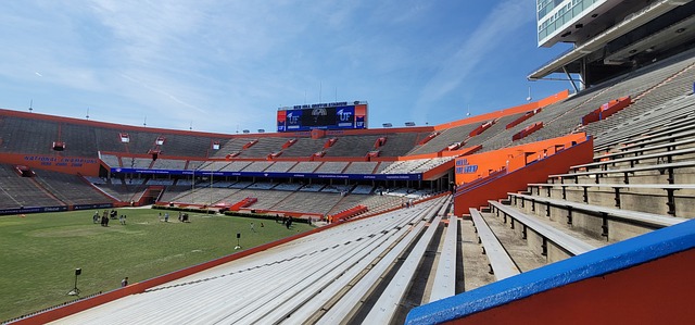 莱比锡的对 莱比锡的对