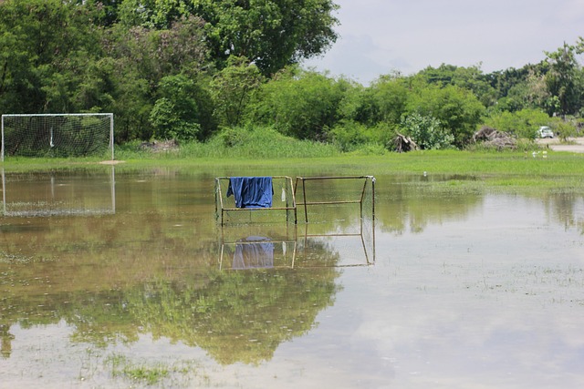 在篮球领域 在篮球领域