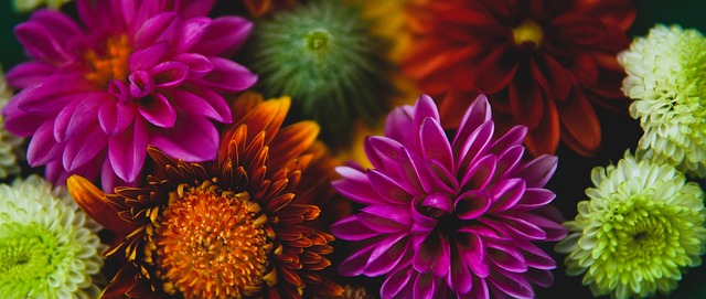 的比赛结果 的比赛结果