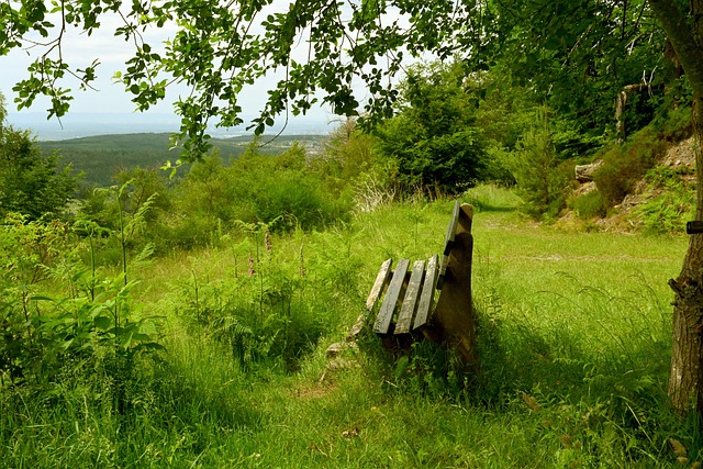 领导层分布 领导层分布