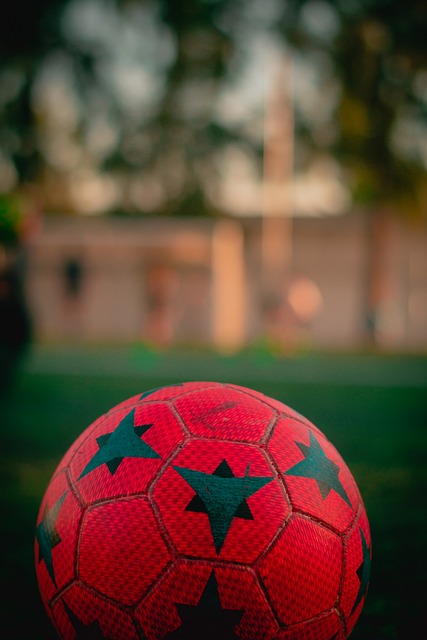 他凭借自己 他凭借自己