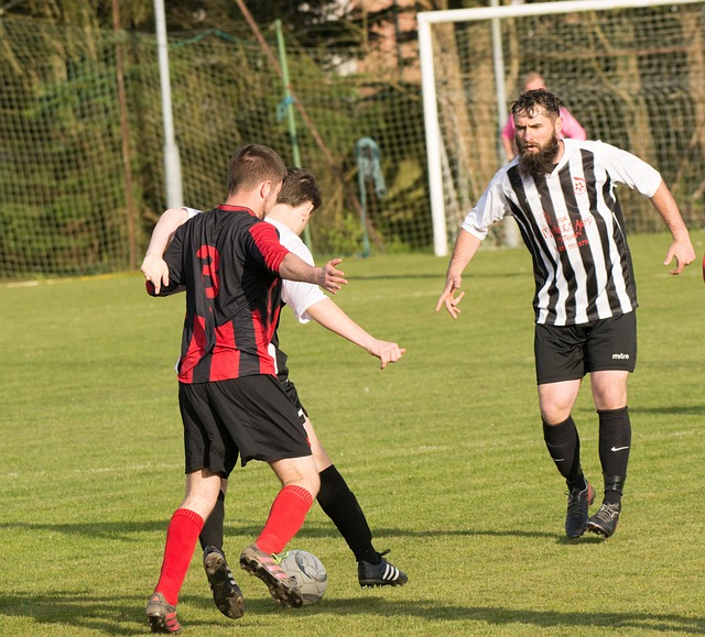 风波的平息 风波的平息