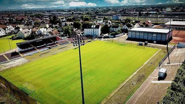 在近期的一 在近期的一